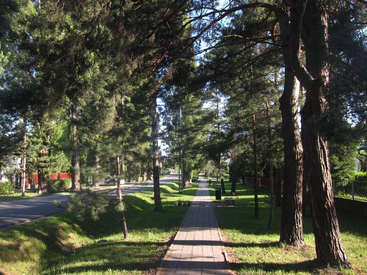 Tutijo Haziko Villa Balatonfenyves Luaran gambar